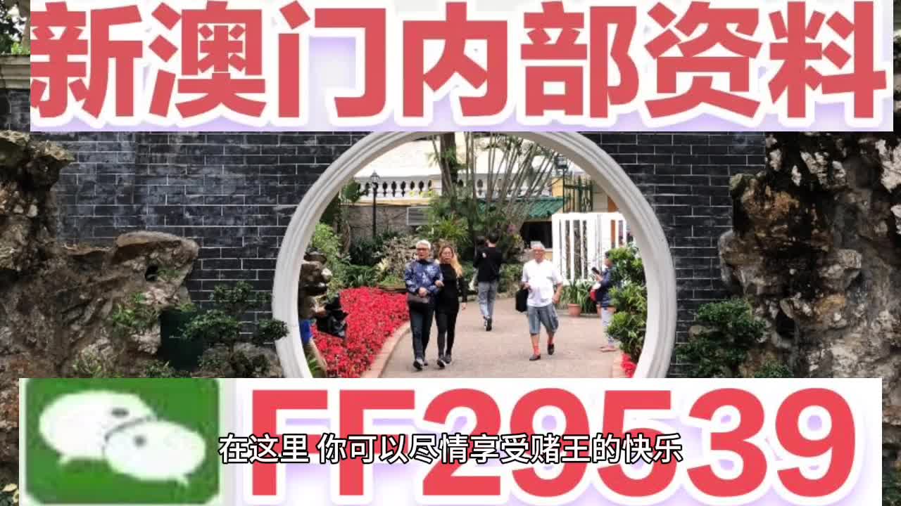 2025今晚澳门天天开彩免费,详解释义解释落实