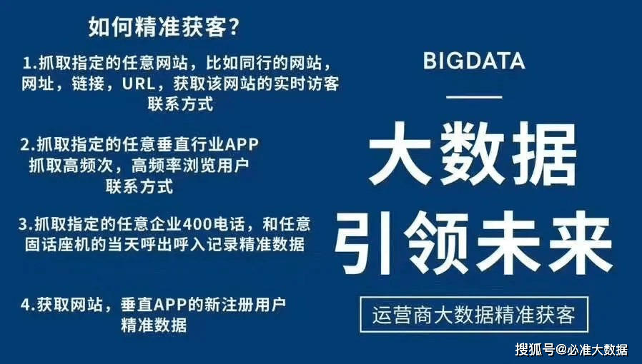 新澳2025年精准正版资料详细解答、解释与落实